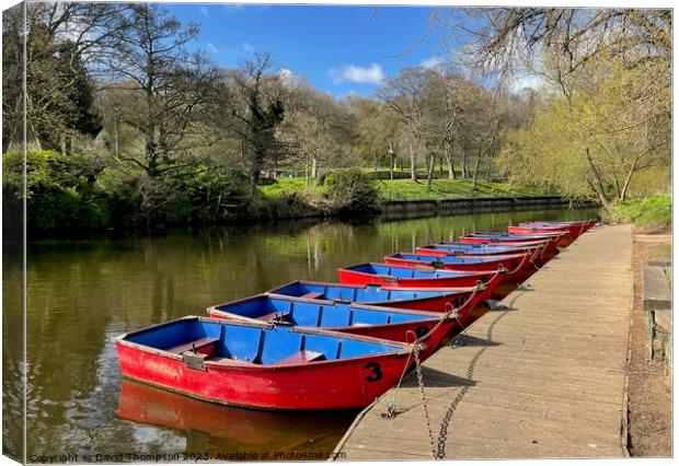 Morpeth Rowing Boats  Canvas Print by David Thompson