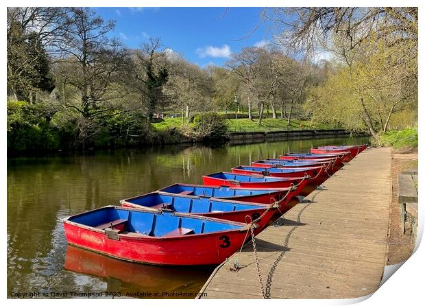 Morpeth Rowing Boats  Print by David Thompson