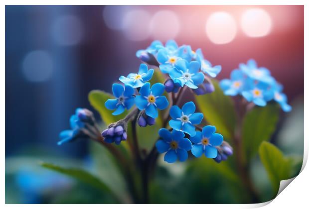 Blue Forget Me Nots Print by Picture Wizard