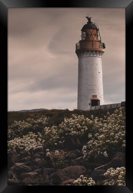 Tobermory Lighthouse Framed Print by Gavin Liddle