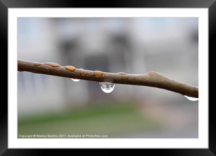 Rainy morning. Framed Mounted Print by Wesley Martino