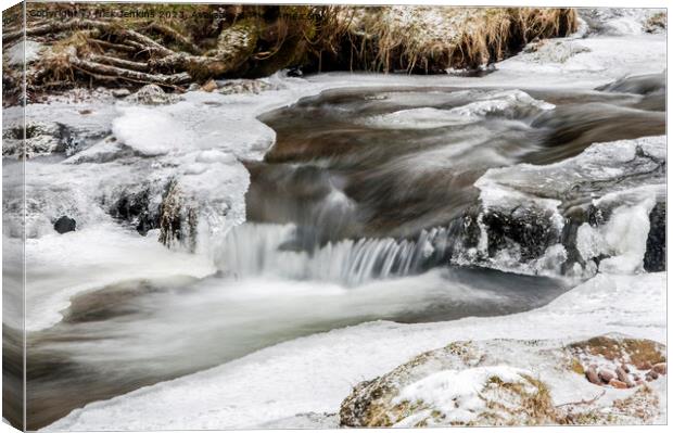 A flowing stream under snowy conditions  Canvas Print by Nick Jenkins