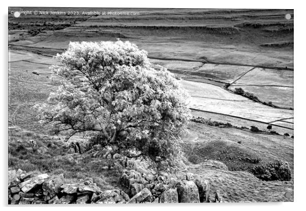 Twissleton Scar and Ash Tree Opposite Ingleborough Dales  Acrylic by Nick Jenkins