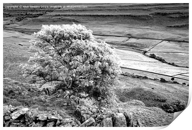 Twissleton Scar and Ash Tree Opposite Ingleborough Dales  Print by Nick Jenkins