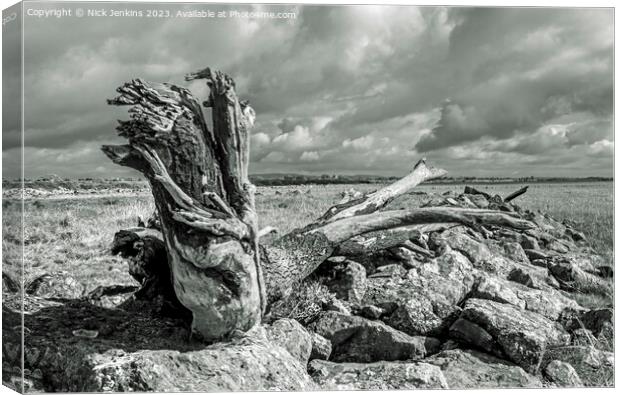 Large Log on the Gwent Levels near Newport  Canvas Print by Nick Jenkins