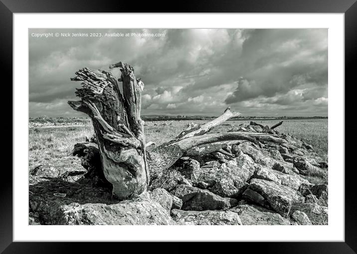 Large Log on the Gwent Levels near Newport  Framed Mounted Print by Nick Jenkins
