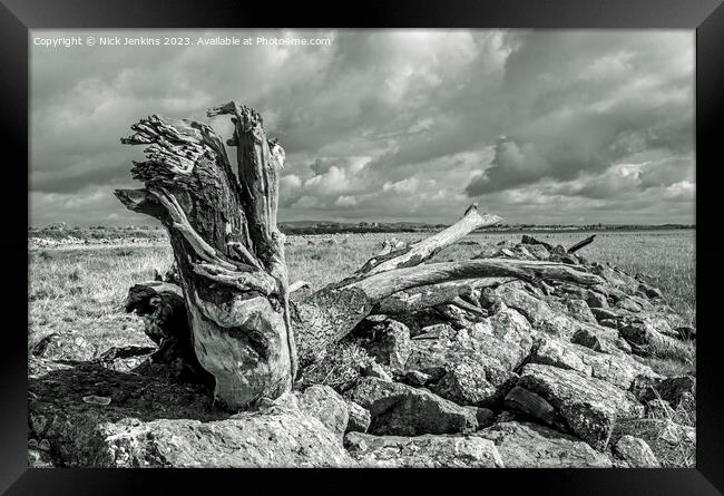 Large Log on the Gwent Levels near Newport  Framed Print by Nick Jenkins