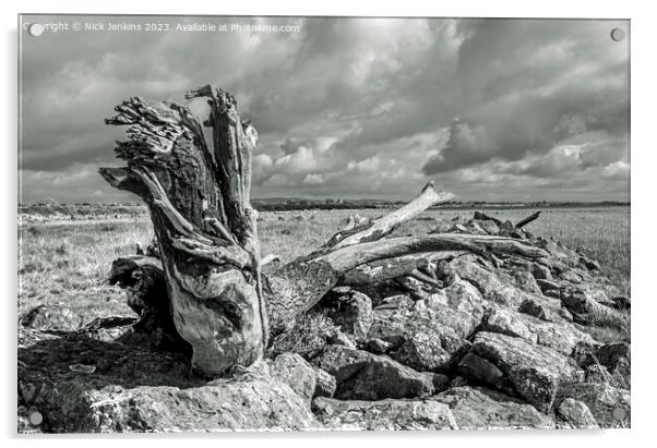 Large Log on the Gwent Levels near Newport  Acrylic by Nick Jenkins