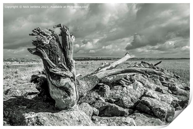 Large Log on the Gwent Levels near Newport  Print by Nick Jenkins