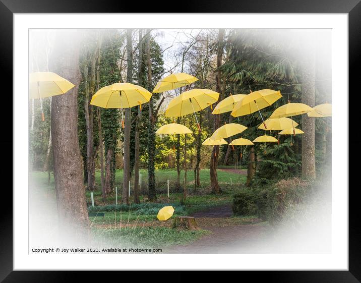 Hanging umbrellas Framed Mounted Print by Joy Walker