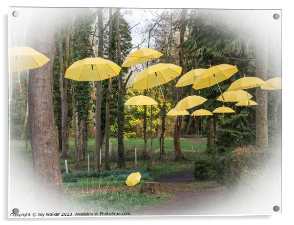 Hanging umbrellas Acrylic by Joy Walker