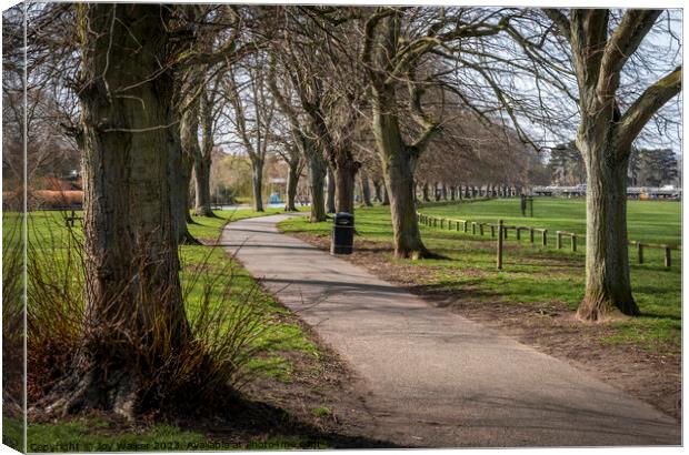 An avenue of trees in Evesham, Worcestershire, Uk Canvas Print by Joy Walker
