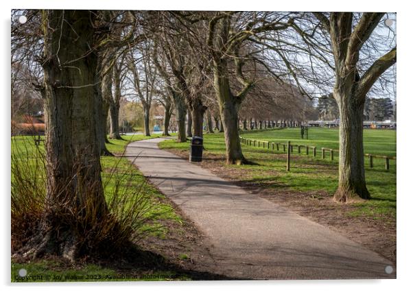 An avenue of trees in Evesham, Worcestershire, Uk Acrylic by Joy Walker