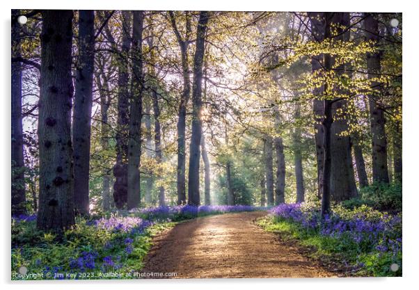 English Bluebell Wood Norfolk Acrylic by Jim Key
