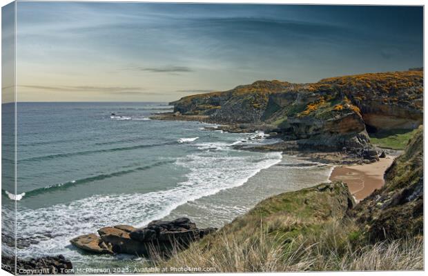 Serenity at Cove Bay Canvas Print by Tom McPherson