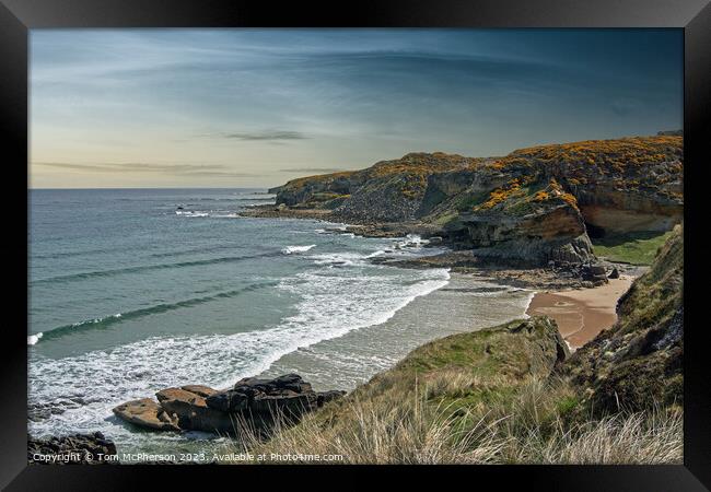 Serenity at Cove Bay Framed Print by Tom McPherson
