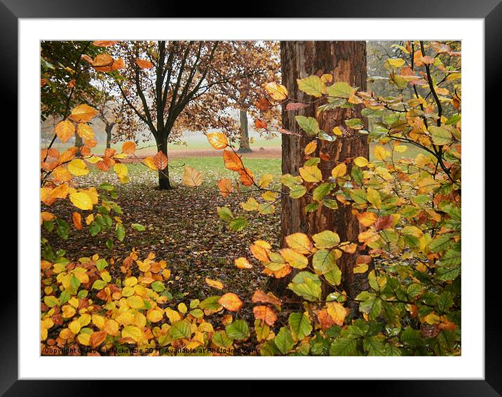 LEAVES EVERYWHERE Framed Mounted Print by Jacque Mckenzie