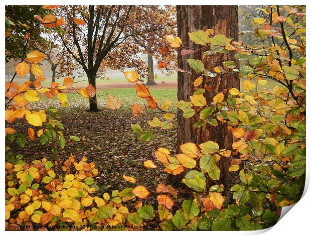LEAVES EVERYWHERE Print by Jacque Mckenzie