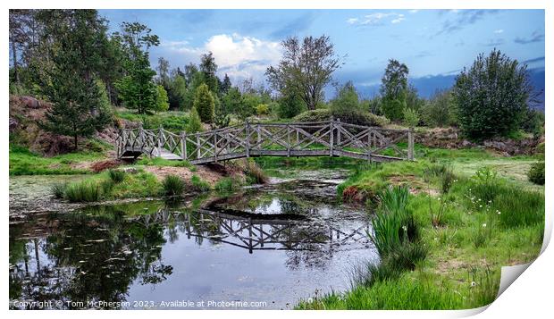 Wooden Bridge at Burgie Arboretum Print by Tom McPherson