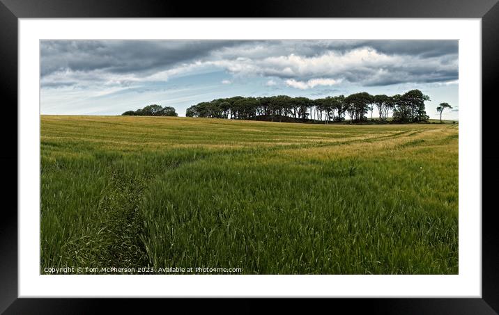 Majestic Inverugie Landscape Framed Mounted Print by Tom McPherson
