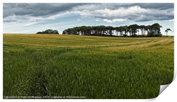 Majestic Inverugie Landscape Print by Tom McPherson