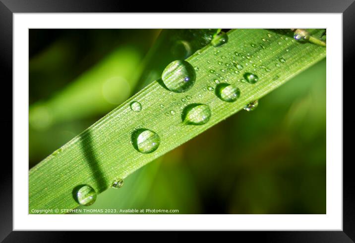 After The Rain Framed Mounted Print by STEPHEN THOMAS