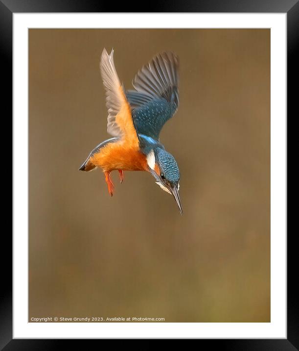 Hovering Kingfisher Framed Mounted Print by Steve Grundy