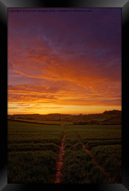 Golden Hour Glory sunset over the fields on the ed Framed Print by Duncan Savidge