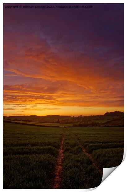 Golden Hour Glory sunset over the fields on the ed Print by Duncan Savidge