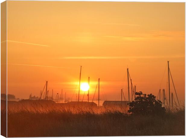 Misty sunrise over the Brightlingsea moorings  Canvas Print by Tony lopez