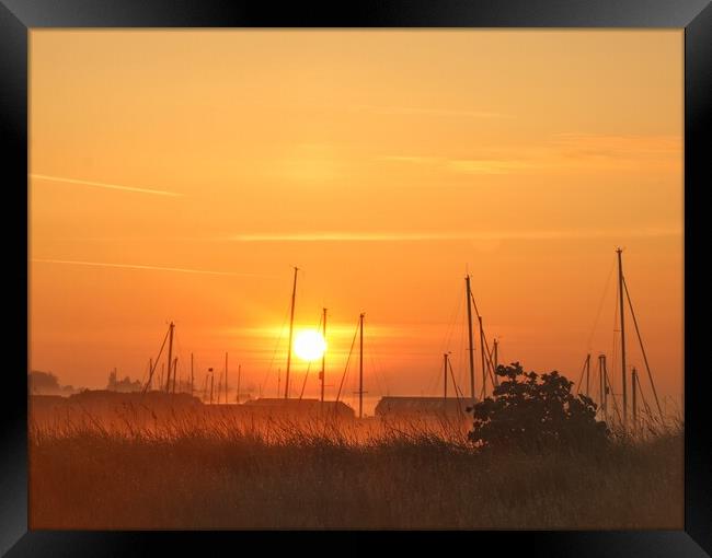 Misty sunrise over the Brightlingsea moorings  Framed Print by Tony lopez