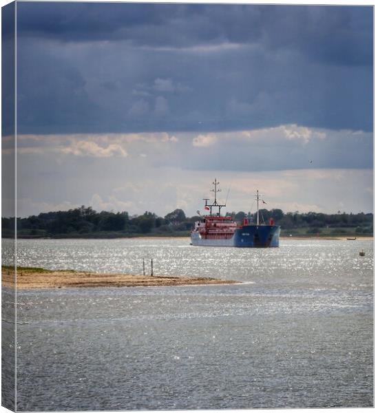 Arriving at Brightlingsea Harbour in the afternoon sun   Canvas Print by Tony lopez