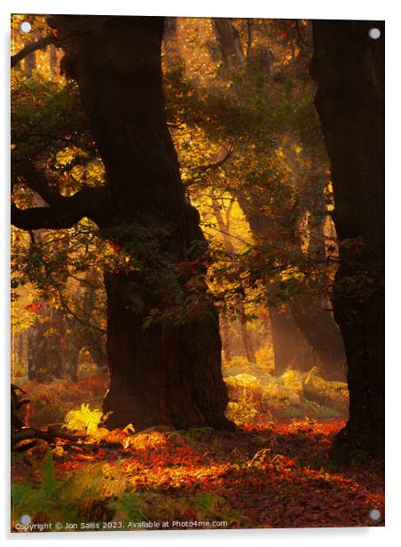 Ancient Oak wood Acrylic by Jon Saiss