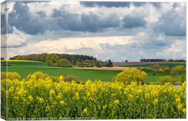 Spring fields of Europe, covered in bright yellow canola flowers. Canvas Print by Sergey Fedoskin