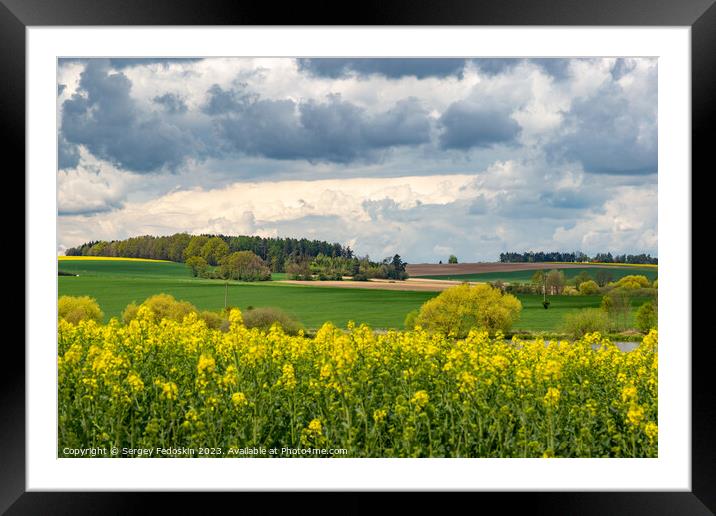 Spring fields of Europe, covered in bright yellow canola flowers. Framed Mounted Print by Sergey Fedoskin