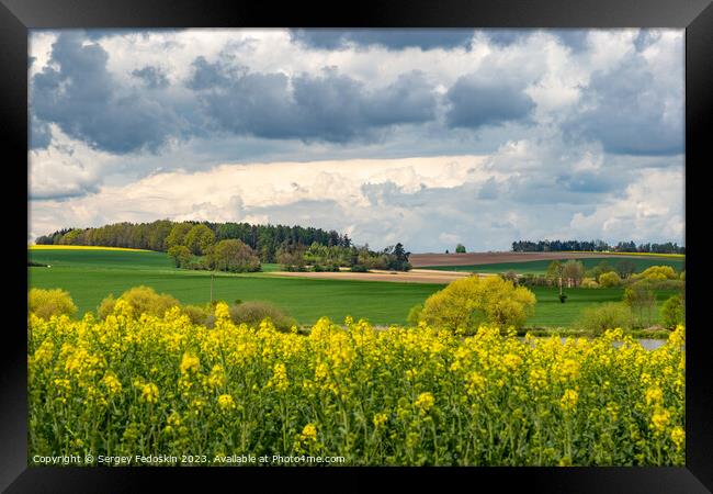 Spring fields of Europe, covered in bright yellow canola flowers. Framed Print by Sergey Fedoskin