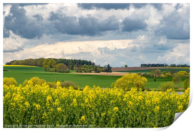 Spring fields of Europe, covered in bright yellow canola flowers. Print by Sergey Fedoskin