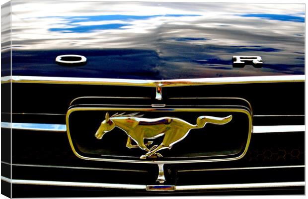 Unleash the Power of Mustang Canvas Print by Andy Evans Photos