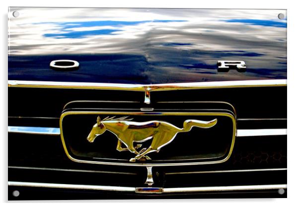 Unleash the Power of Mustang Acrylic by Andy Evans Photos