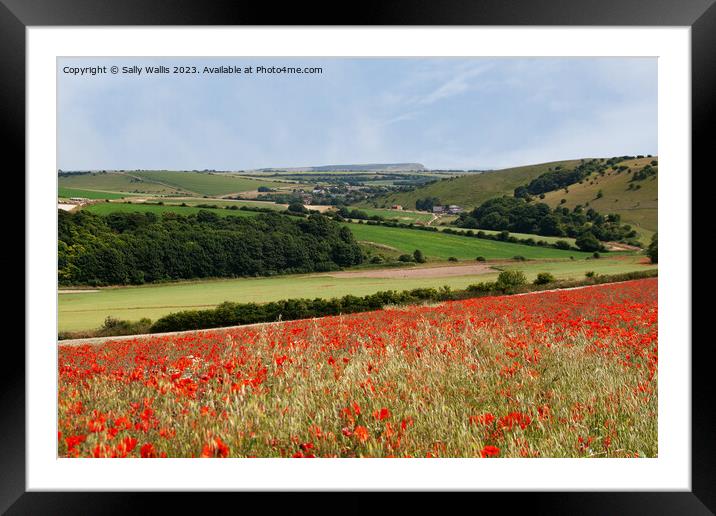 South Downs view Framed Mounted Print by Sally Wallis