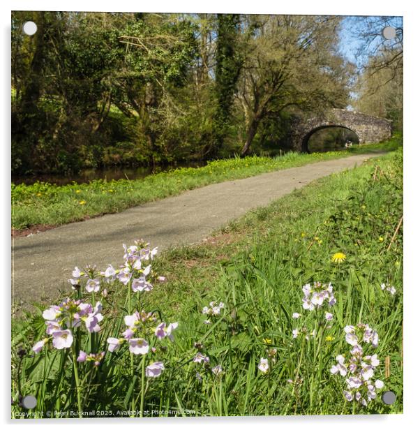 Wildflowers by Monmouthshire and Brecon Canal Acrylic by Pearl Bucknall