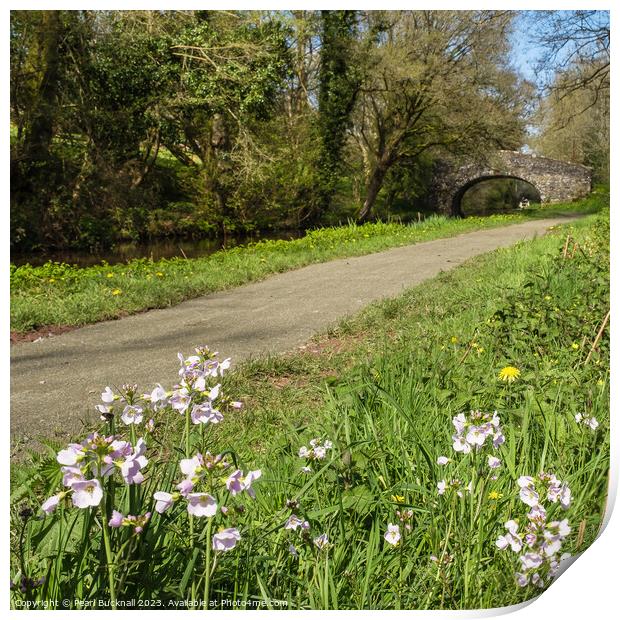 Wildflowers by Monmouthshire and Brecon Canal Print by Pearl Bucknall