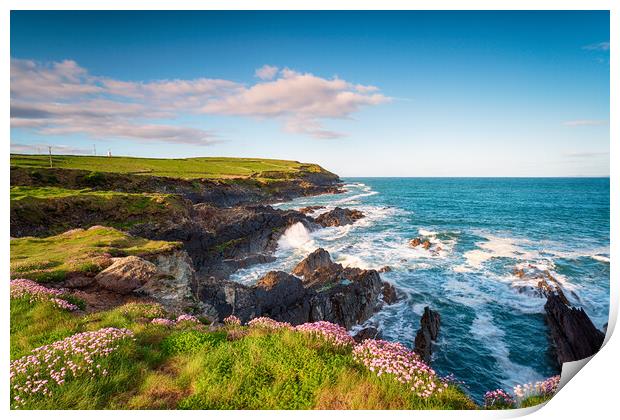 Cliffs at Galley Head in Ireland Print by Helen Hotson
