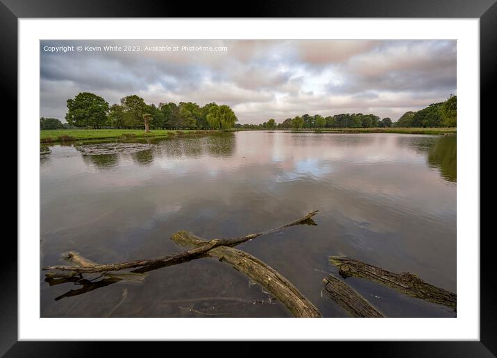Rotting tree logs lying in calm waters Framed Mounted Print by Kevin White