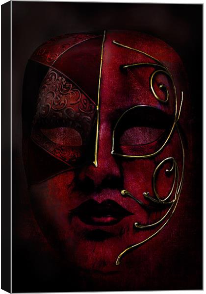 Red Masque Canvas Print by Ann Garrett