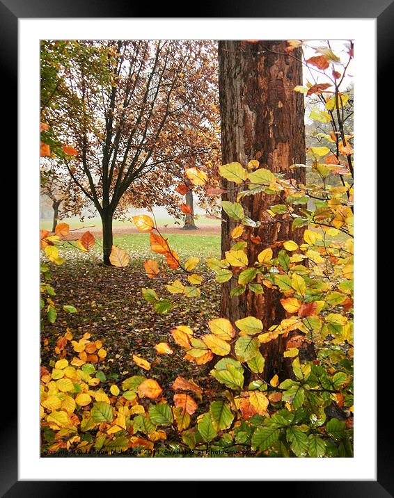 AUTUMN ENDING Framed Mounted Print by Jacque Mckenzie