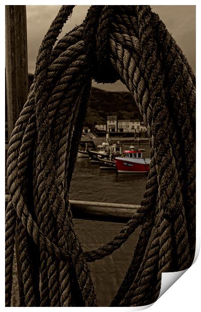 staithes Print by Northeast Images