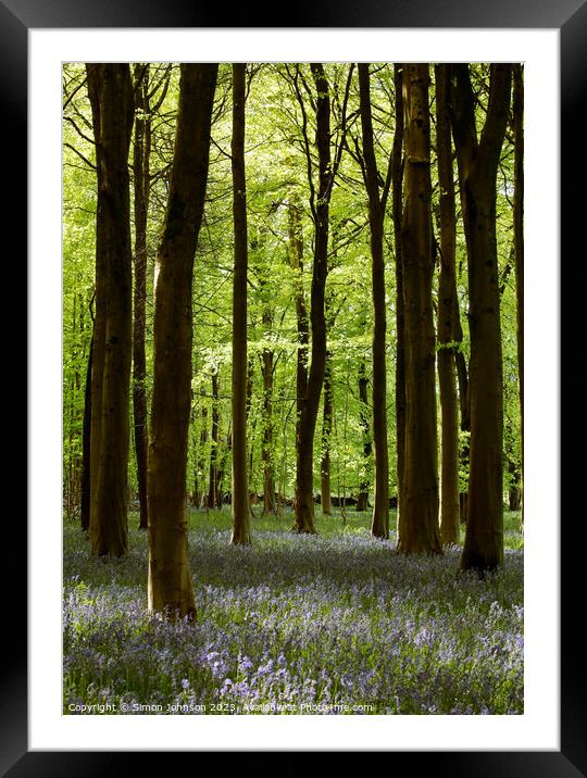 sunlit Bluebell Woodland Framed Mounted Print by Simon Johnson
