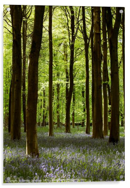 sunlit Bluebell Woodland Acrylic by Simon Johnson