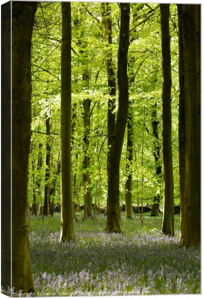 Bluebell Woodland Canvas Print by Simon Johnson